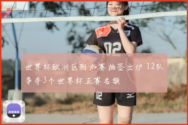 世界杯欧洲区附加赛抽签出炉 12队争夺3个世界杯正赛名额